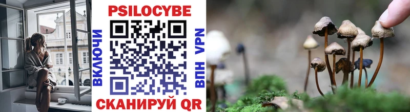 Купить закладки  Валуйки  Псилоцибиновые грибы Psilocybe 